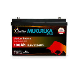 BATERÍA DE LITIO 12.8V 100AH CON BLUETOOth